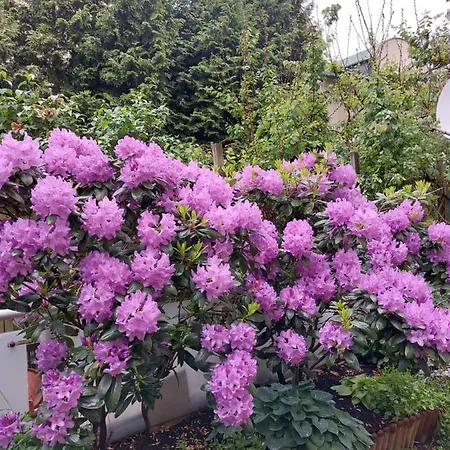 Appartement Happy House